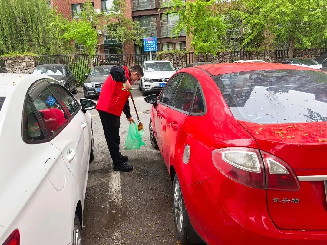 市场一科党支部开展“党旗引领护市场 环境整治我先行”主题党日活动