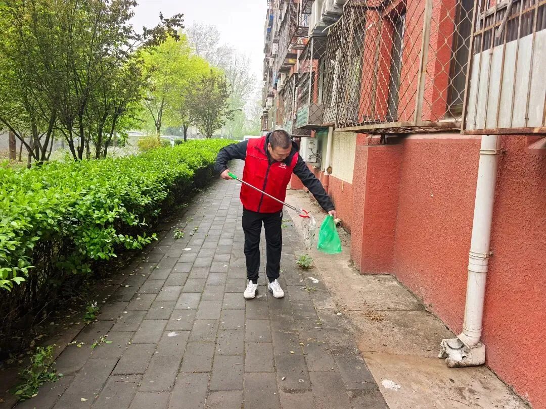 市场一科党支部开展“党旗引领护市场 环境整治我先行”主题党日活动