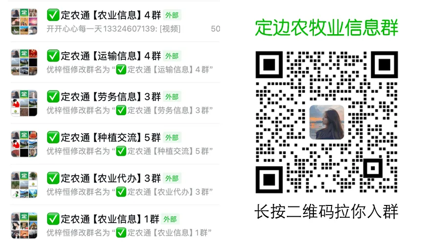 【定边劳务市场】2026年4月17日 优质劳务市场信息