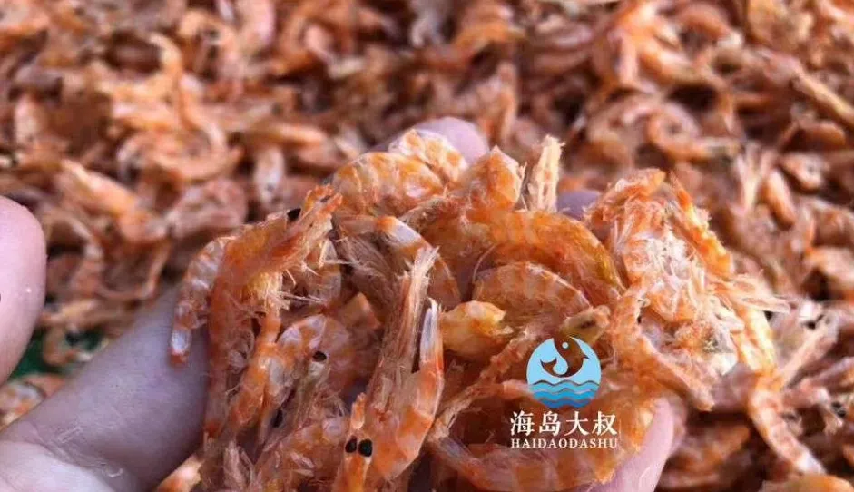 猛看!澄海最近很多人在这里买海鲜!比市场还便宜?渔港直送到家!