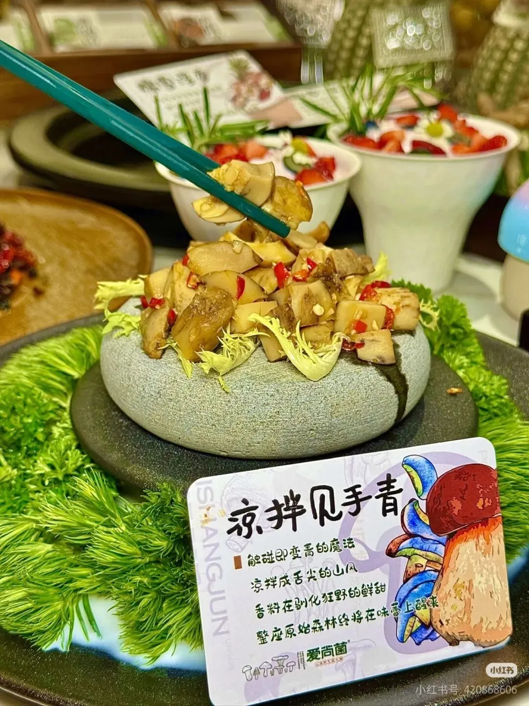 见手青菌酒(黄牛肝菌)版营销规划书——聚焦野生菌火锅店渠道深度拓展