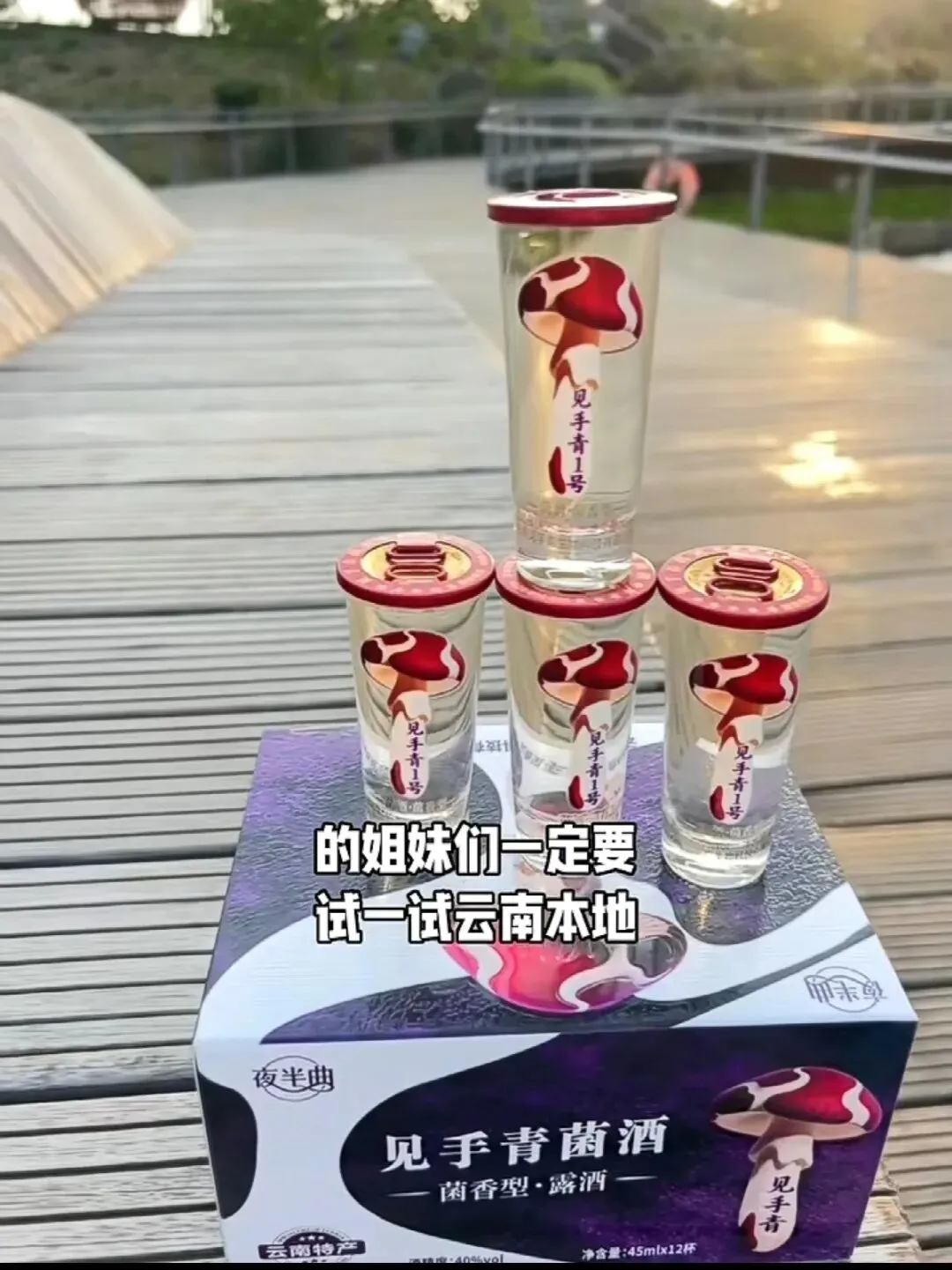 见手青菌酒(黄牛肝菌)版营销规划书——聚焦野生菌火锅店渠道深度拓展