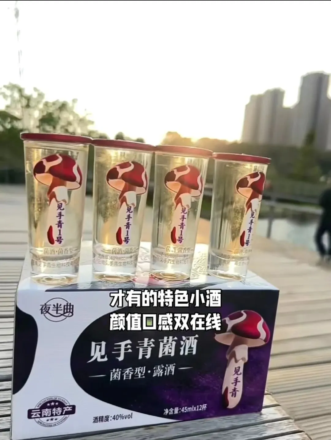 见手青菌酒(黄牛肝菌)版营销规划书——聚焦野生菌火锅店渠道深度拓展