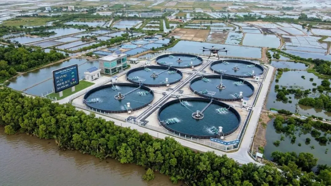 全球虾市场未来十年发展分析:趋势、驱动与机遇!专家:前景乐观!