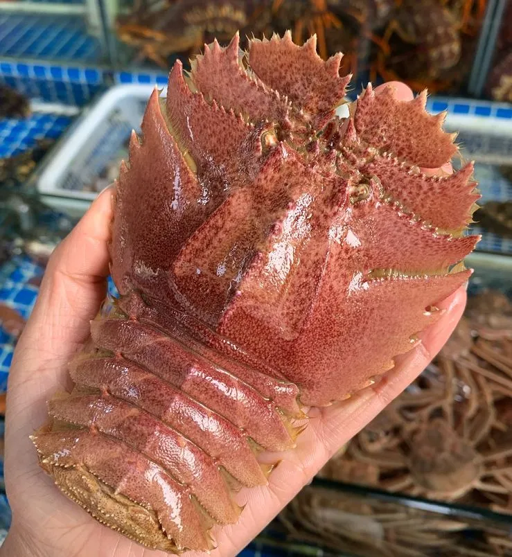 猛看!澄海最近很多人在这里买海鲜!比市场还便宜?渔港直送到家!