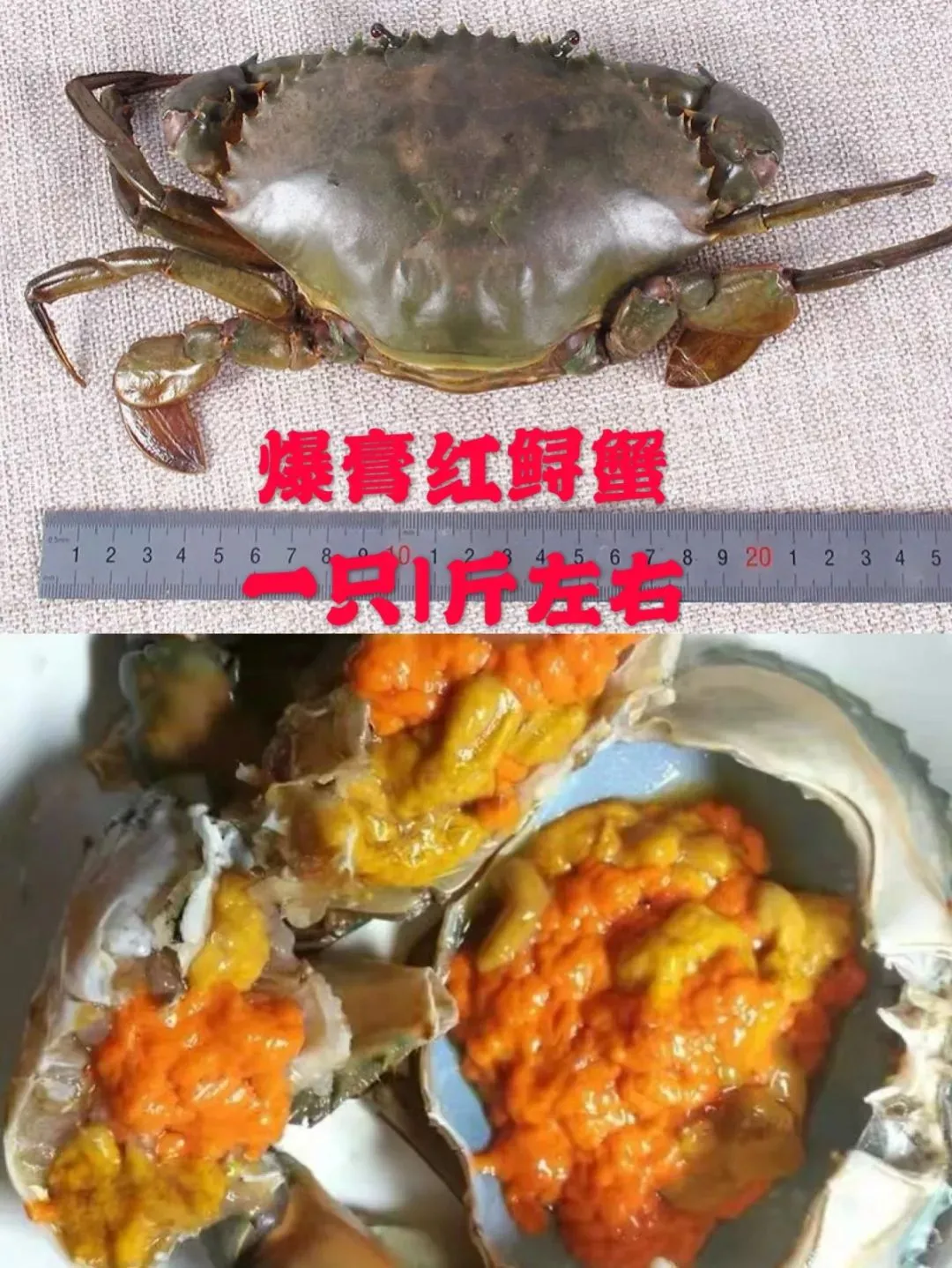 猛看!澄海最近很多人在这里买海鲜!比市场还便宜?渔港直送到家!