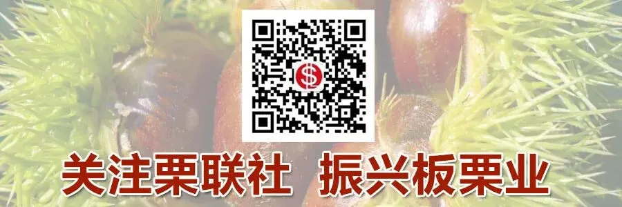 借力社交媒体,激活燕山板栗营销新动能