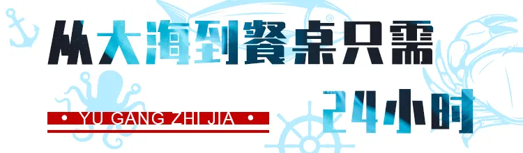 长乐人买菜新攻略!比市场还便宜?吃本港生猛海鲜人均只要50+、渔港直送到家!