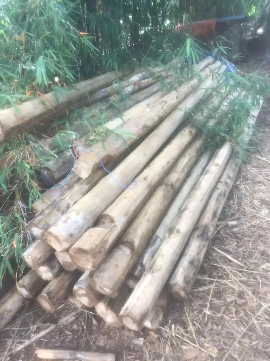 【百业③】4月17日涠洲岛二手市场信息发布!