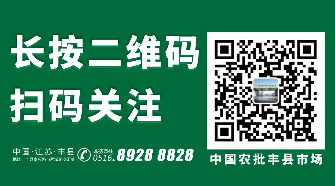 筑牢防线 守护平安 | 中国农批丰县市场开展消防安全培训演练