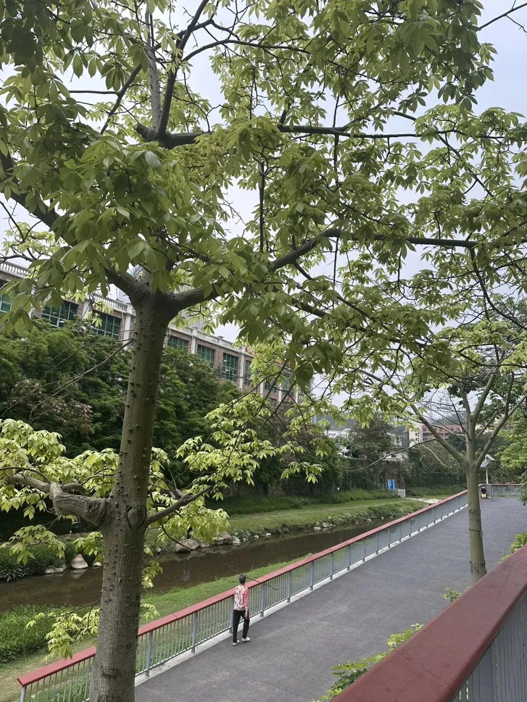 都往营销中心挤,我却陪客户围绕新世界188楼盘走了一圈