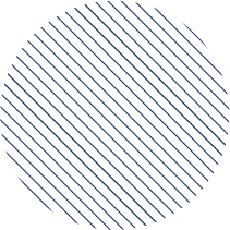政企联动赋能|紫荆1号开展AI+营销实战课程圆满举办