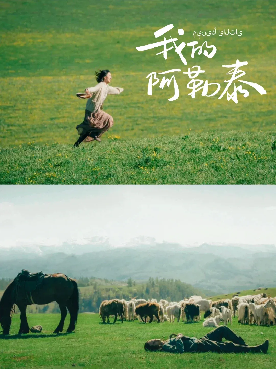 文旅营销如何出圈:核心趋势+爆款案例分析