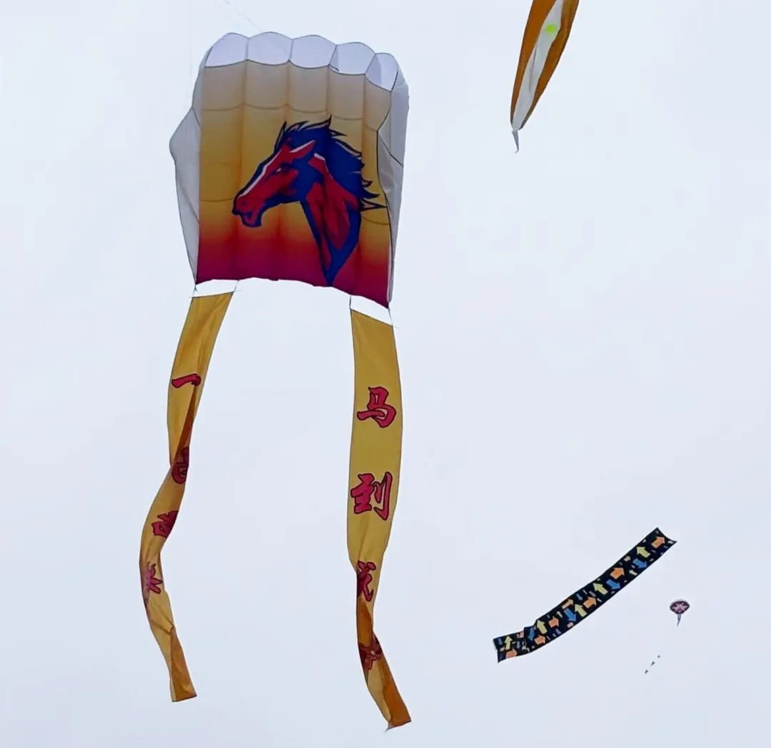 潍坊市市场监管局代表队参加第43届潍坊国际风筝会2026潍坊风筝大赛