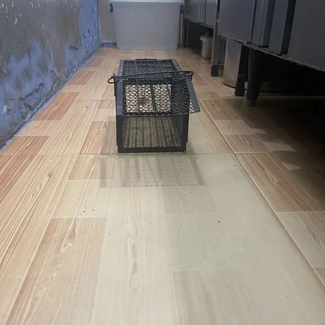 柘荣县市场监管局开展“阳光外卖 你我同查”专项行动以“三色榜”守护群众舌尖安全