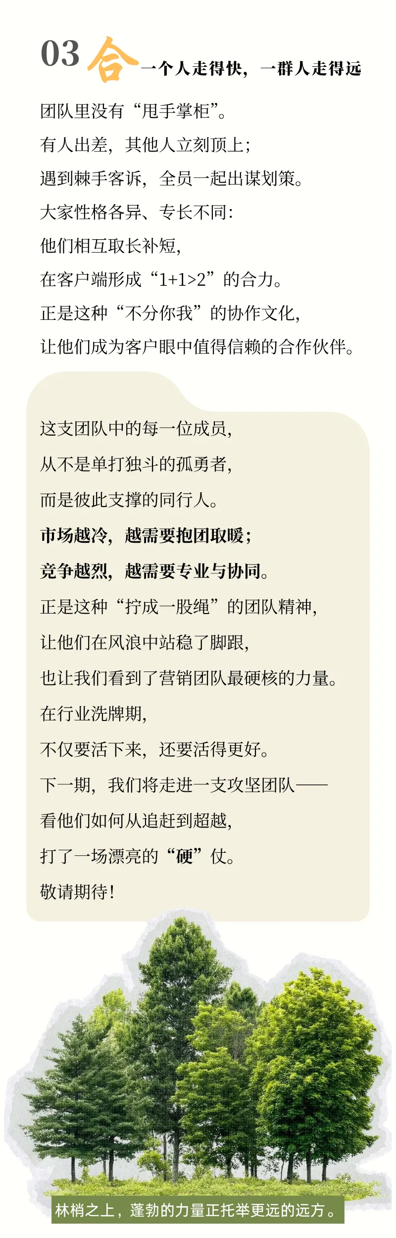 榜样的力量丨营销先锋:他们在市场上开疆拓土