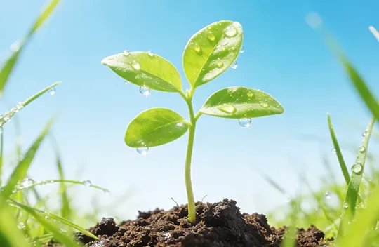 “国补+能效”重构家电市场