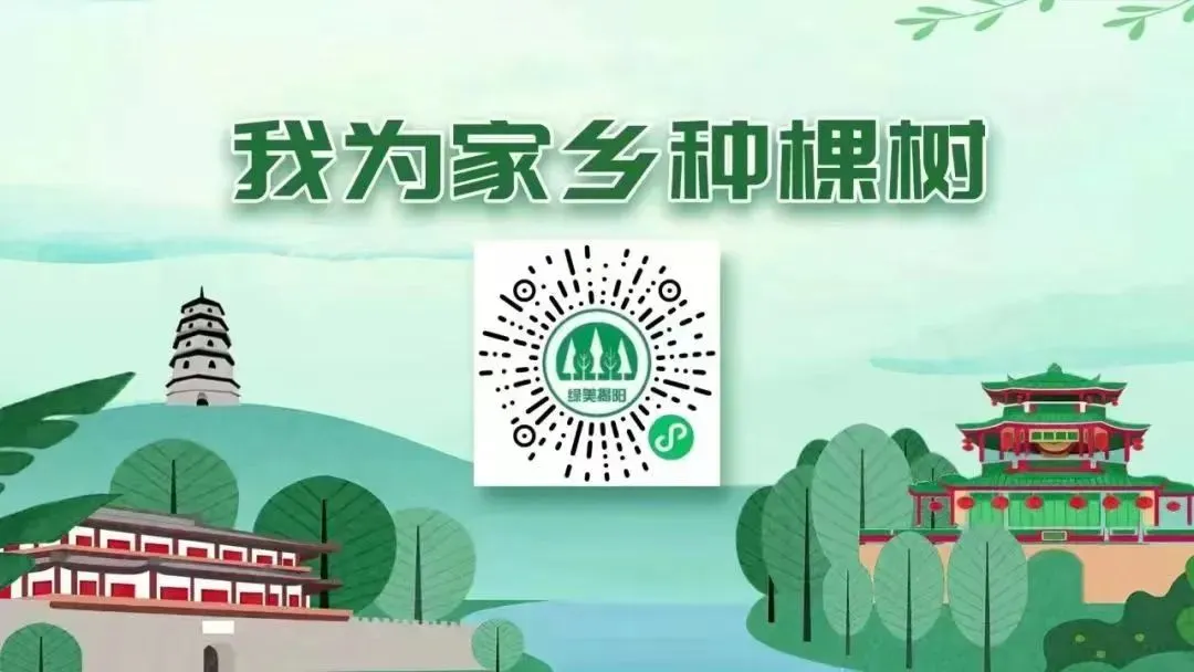 守护知识产权 行动从未停歇——市市场监管局发布“保护原创价值,助力高质量发展”典型案例(十一)