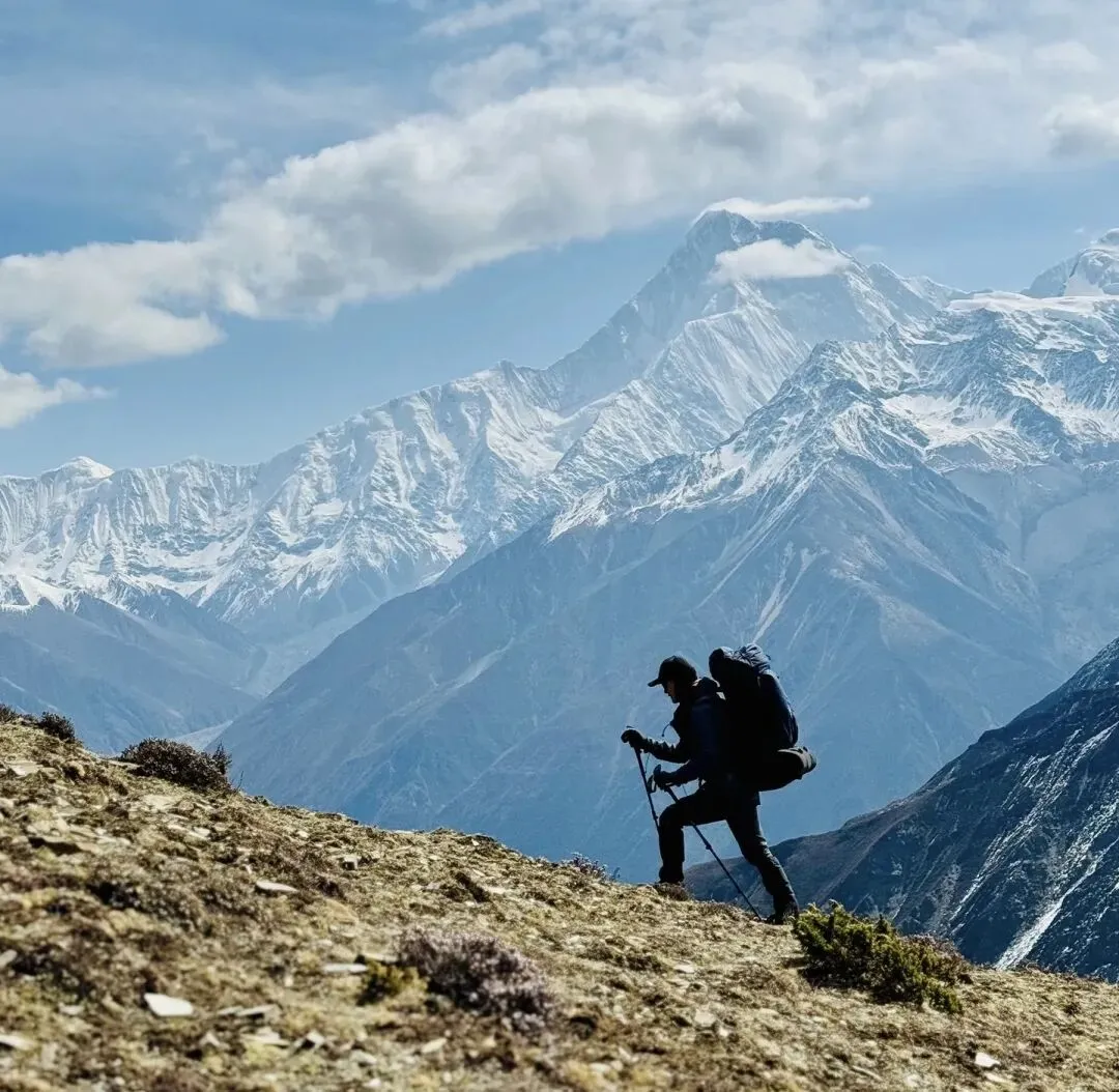 2026就业市场真相:一边挤破头,一边招不到人,普通人该如何破局?