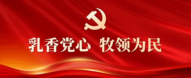 聚力破局 共拓西安|庄园股份营销中心素质拓展活动圆满举行