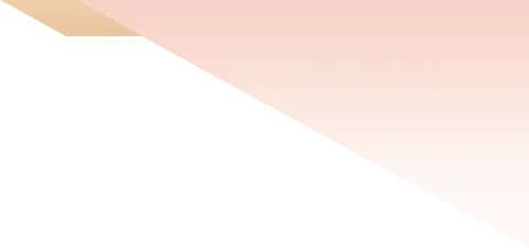 南平市市场监管局召开治理“网络餐饮”食品安全问题第二季度调度会