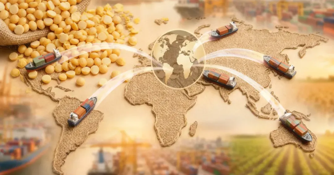 中国豌豆市场周报总结 (2026年4月17日)