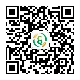 本周玉米市场主要观点