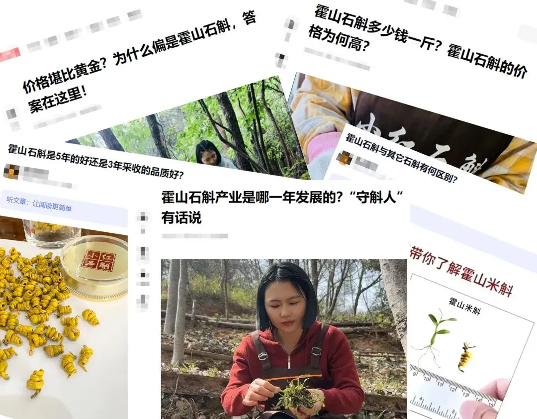 崩了!石斛市场暴雷了!