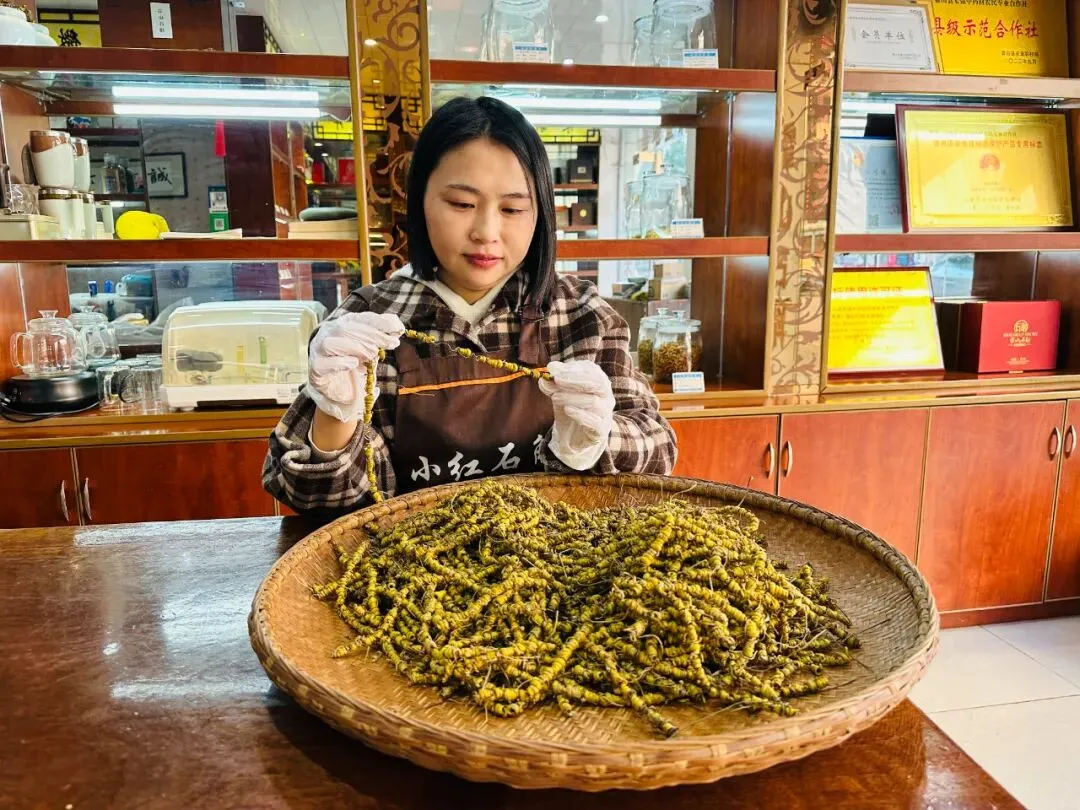 崩了!石斛市场暴雷了!