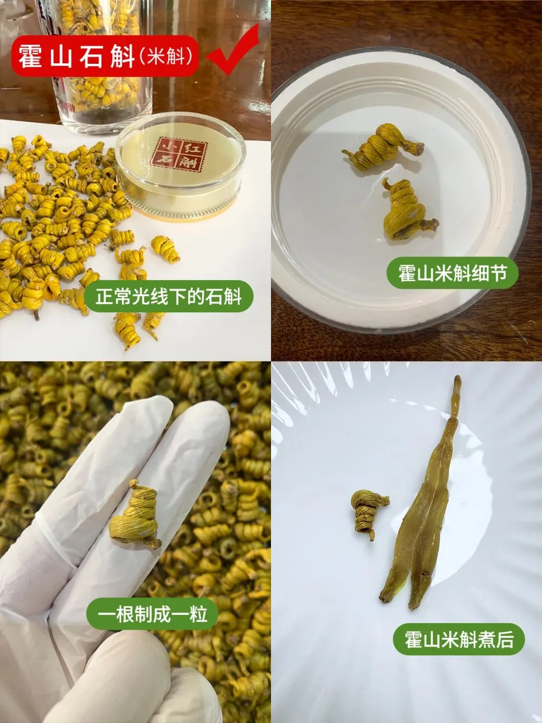 崩了!石斛市场暴雷了!