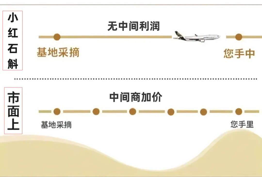 崩了!石斛市场暴雷了!