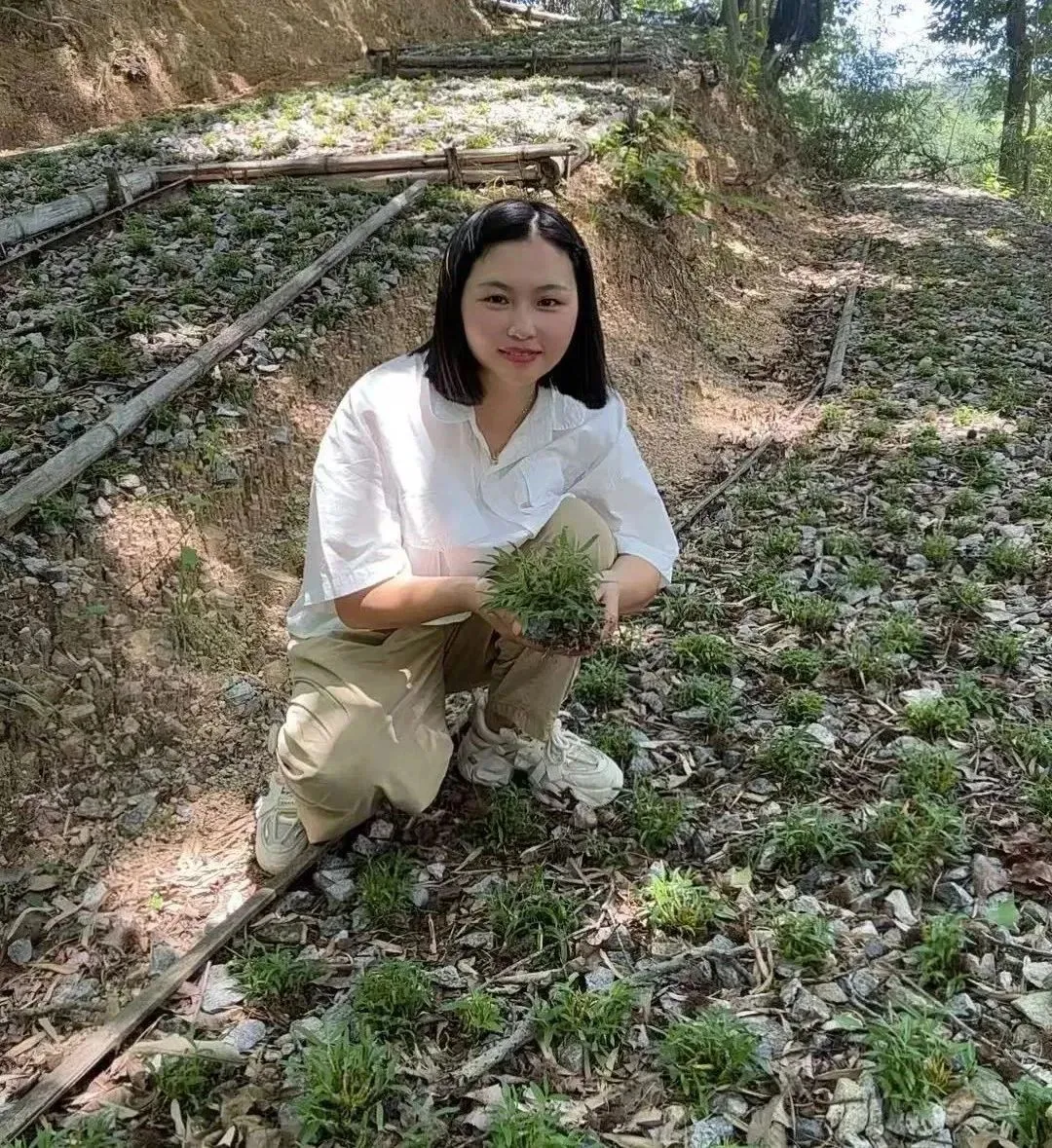 崩了!石斛市场暴雷了!