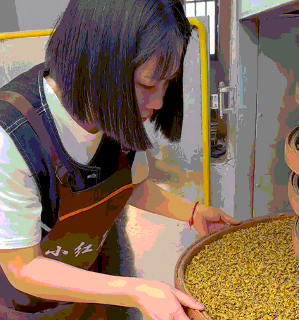 崩了!石斛市场暴雷了!