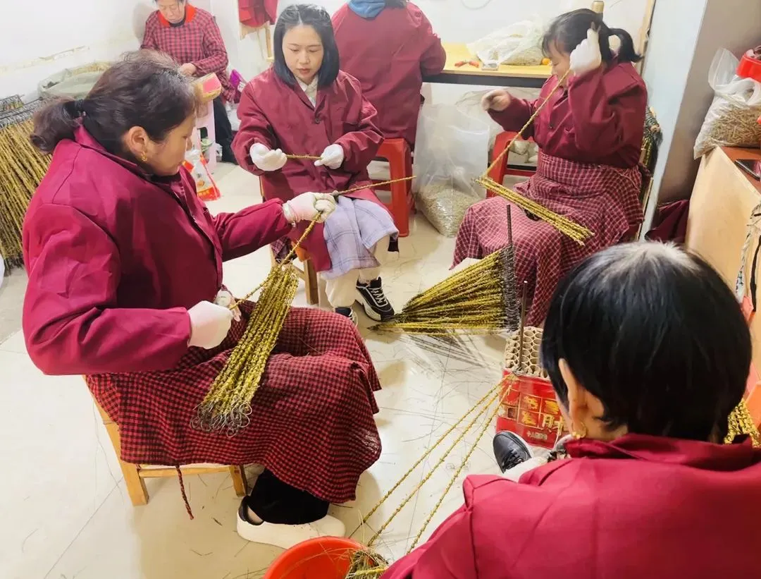 崩了!石斛市场暴雷了!