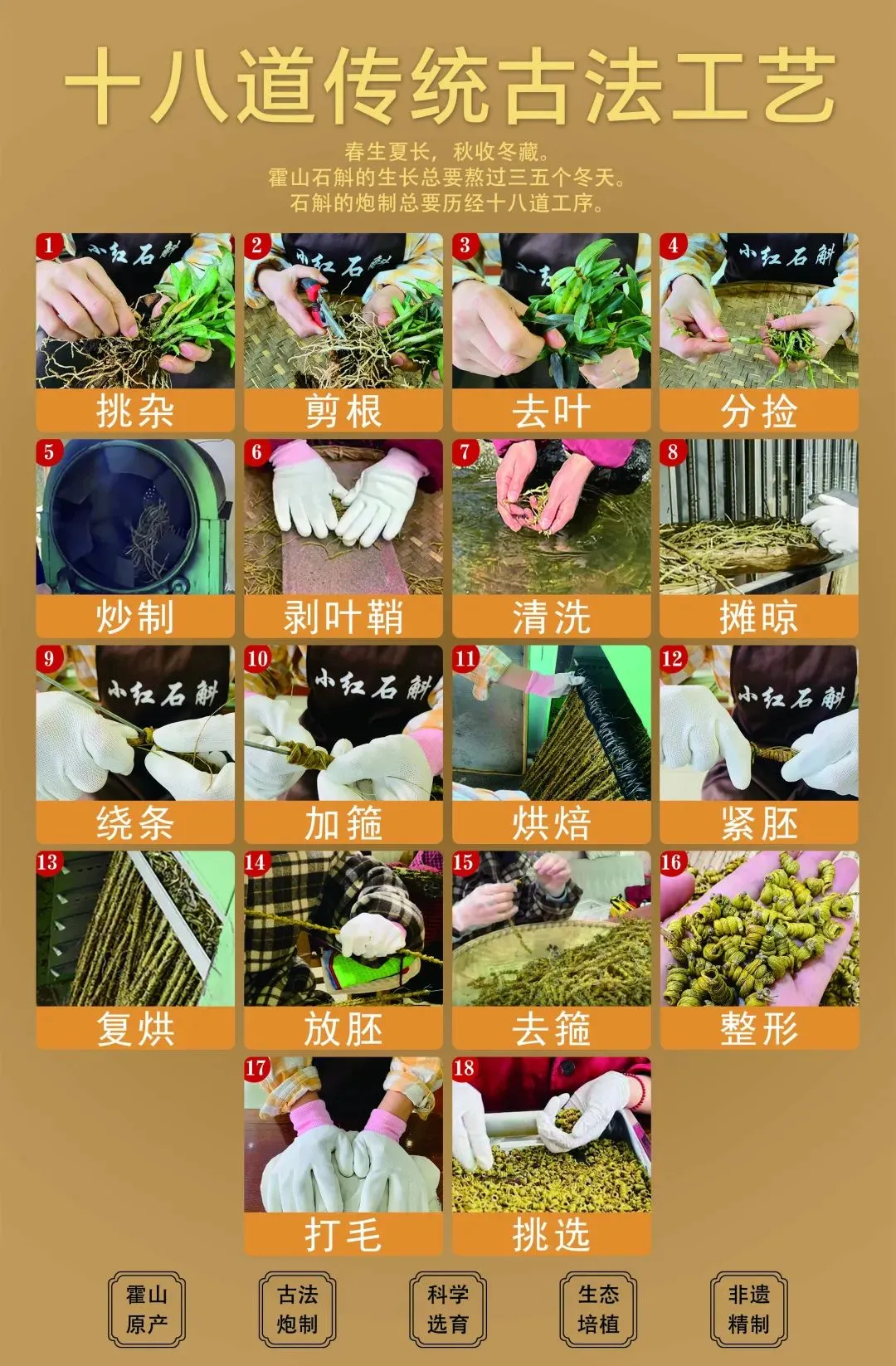 崩了!石斛市场暴雷了!