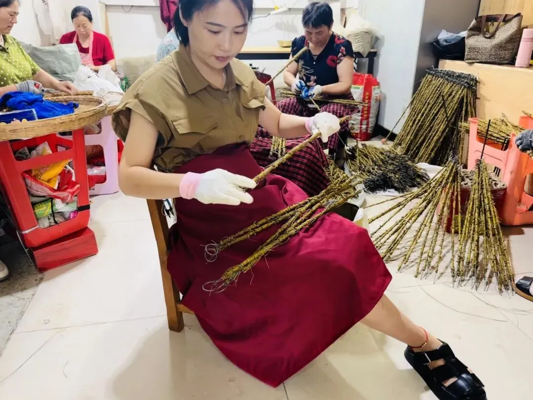 崩了!石斛市场暴雷了!