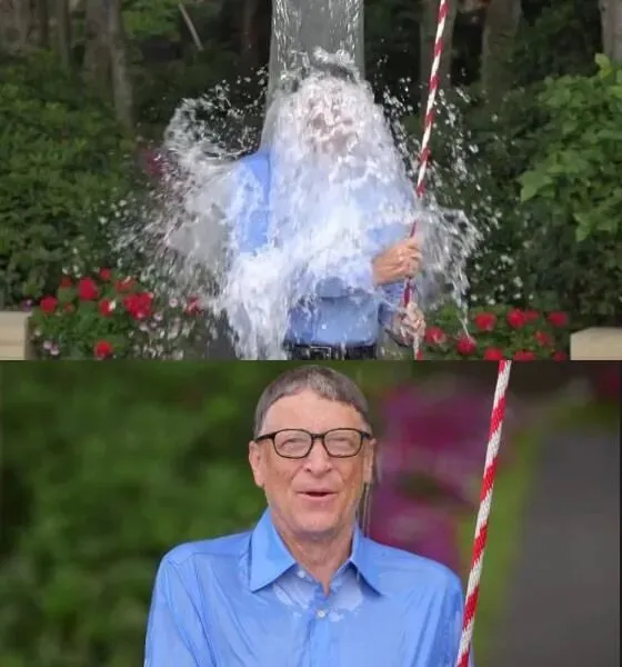 【全球鬼才营销系列】第七期:2014年夏天,全球名人为何集体“自虐”?一场浇下2.2亿美元的“病毒式”狂欢