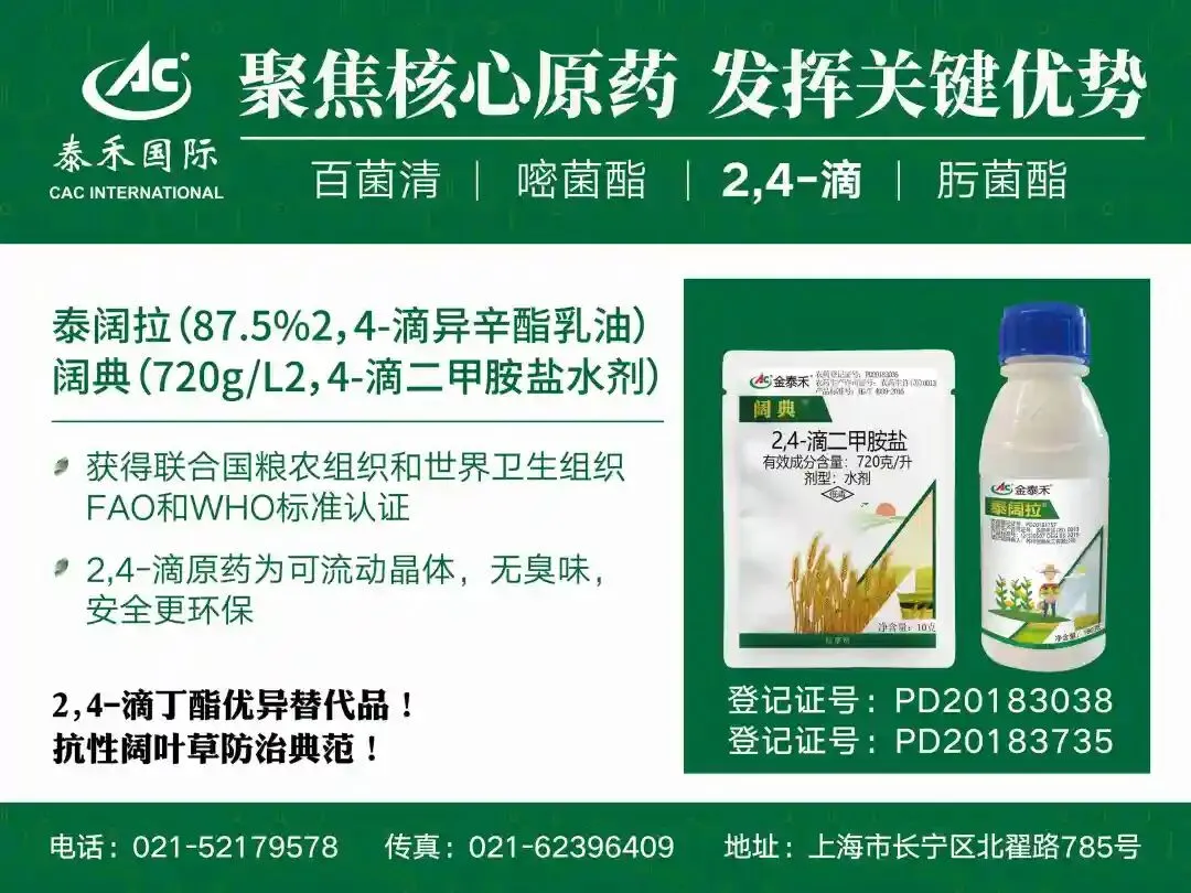 巴斯夫研发实力强大,原研药享誉中国市场