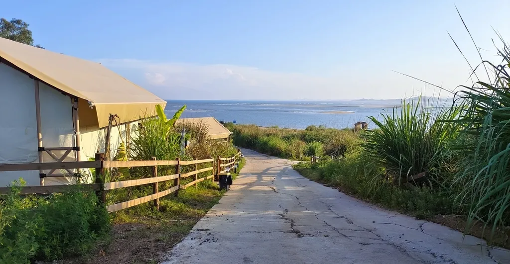 第一次去钦州别只盯着海鲜市场,这份更省心的吃住思路,建议提前收好