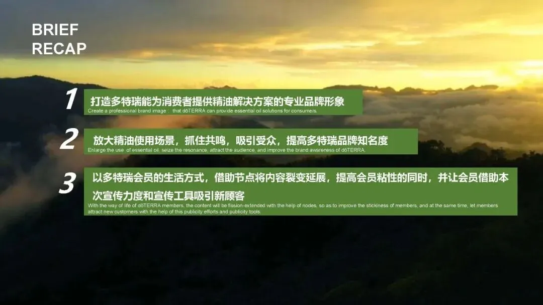多特瑞66精油节方营销传播案112页