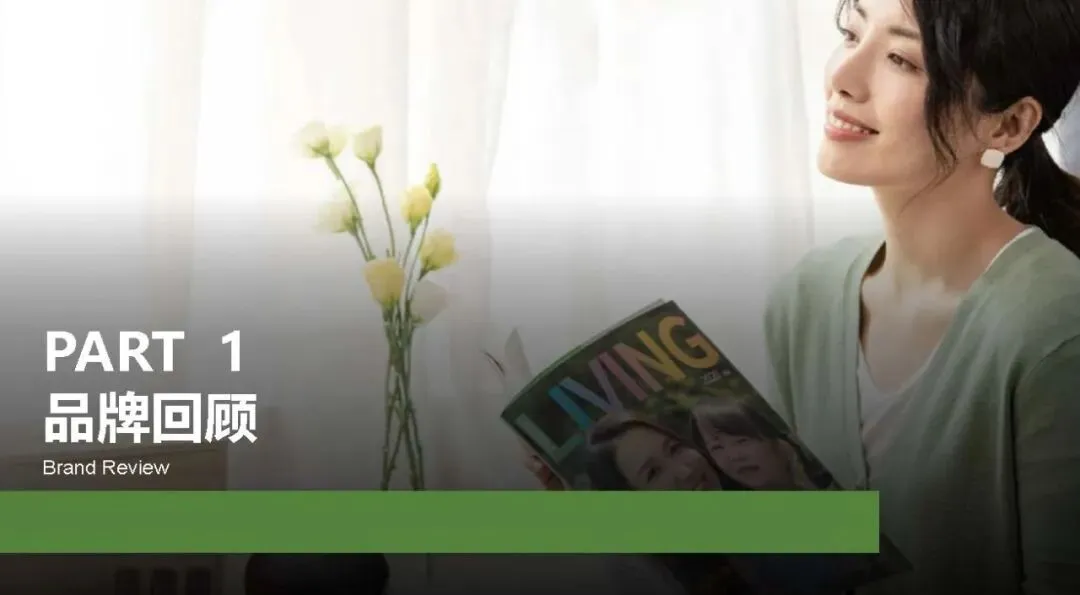 多特瑞66精油节方营销传播案112页