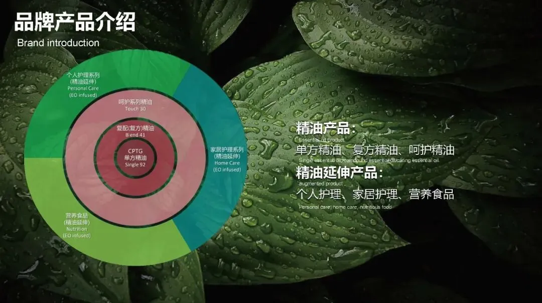 多特瑞66精油节方营销传播案112页