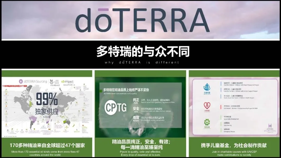 多特瑞66精油节方营销传播案112页