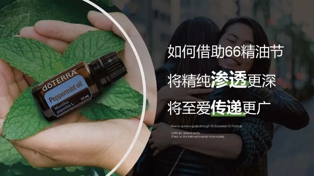 多特瑞66精油节方营销传播案112页