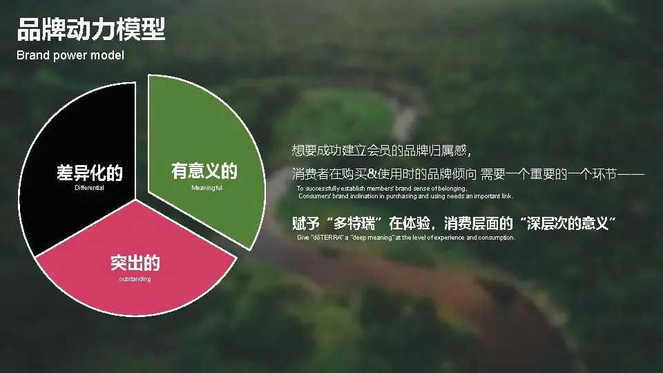 多特瑞66精油节方营销传播案112页