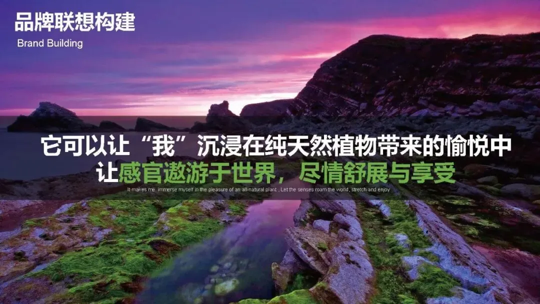 多特瑞66精油节方营销传播案112页