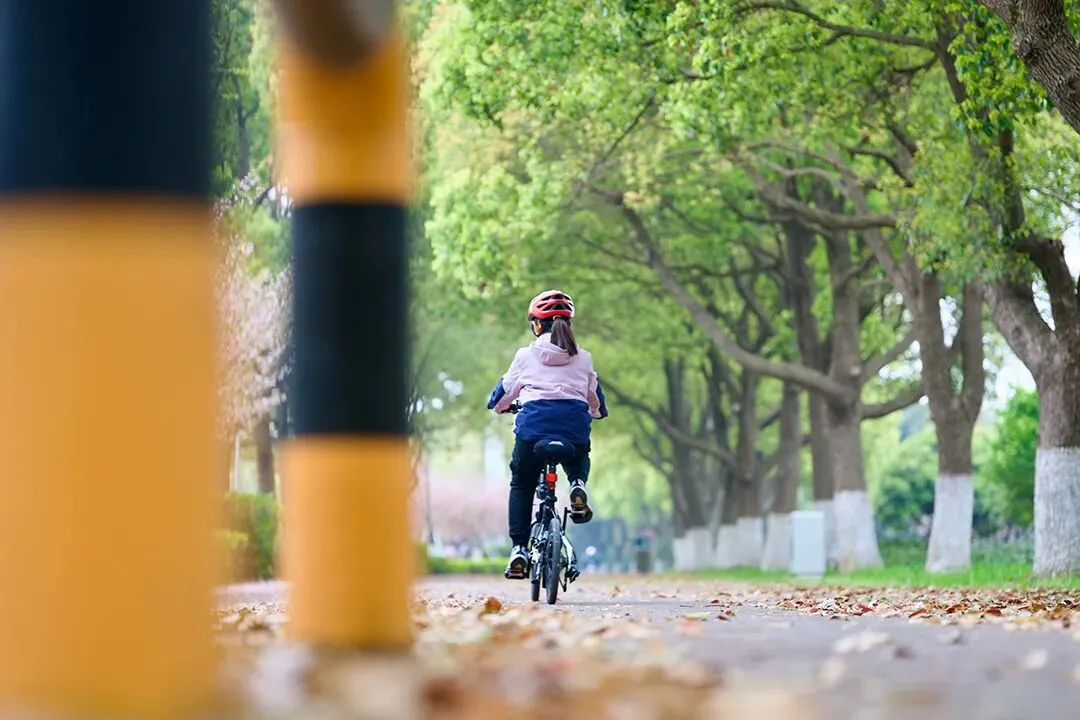 “营销城市”动真格了?巨额罚单已开出,每个电车人需注意:这些红线千万别碰!