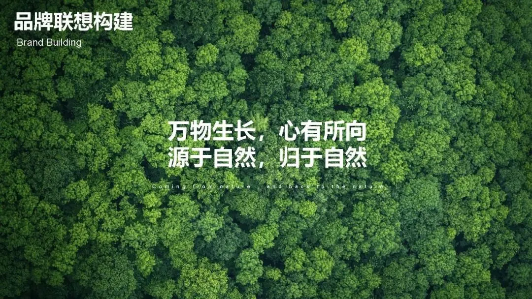 多特瑞66精油节方营销传播案112页