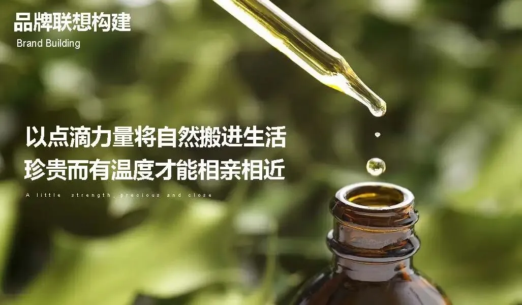 多特瑞66精油节方营销传播案112页