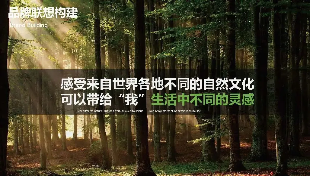 多特瑞66精油节方营销传播案112页